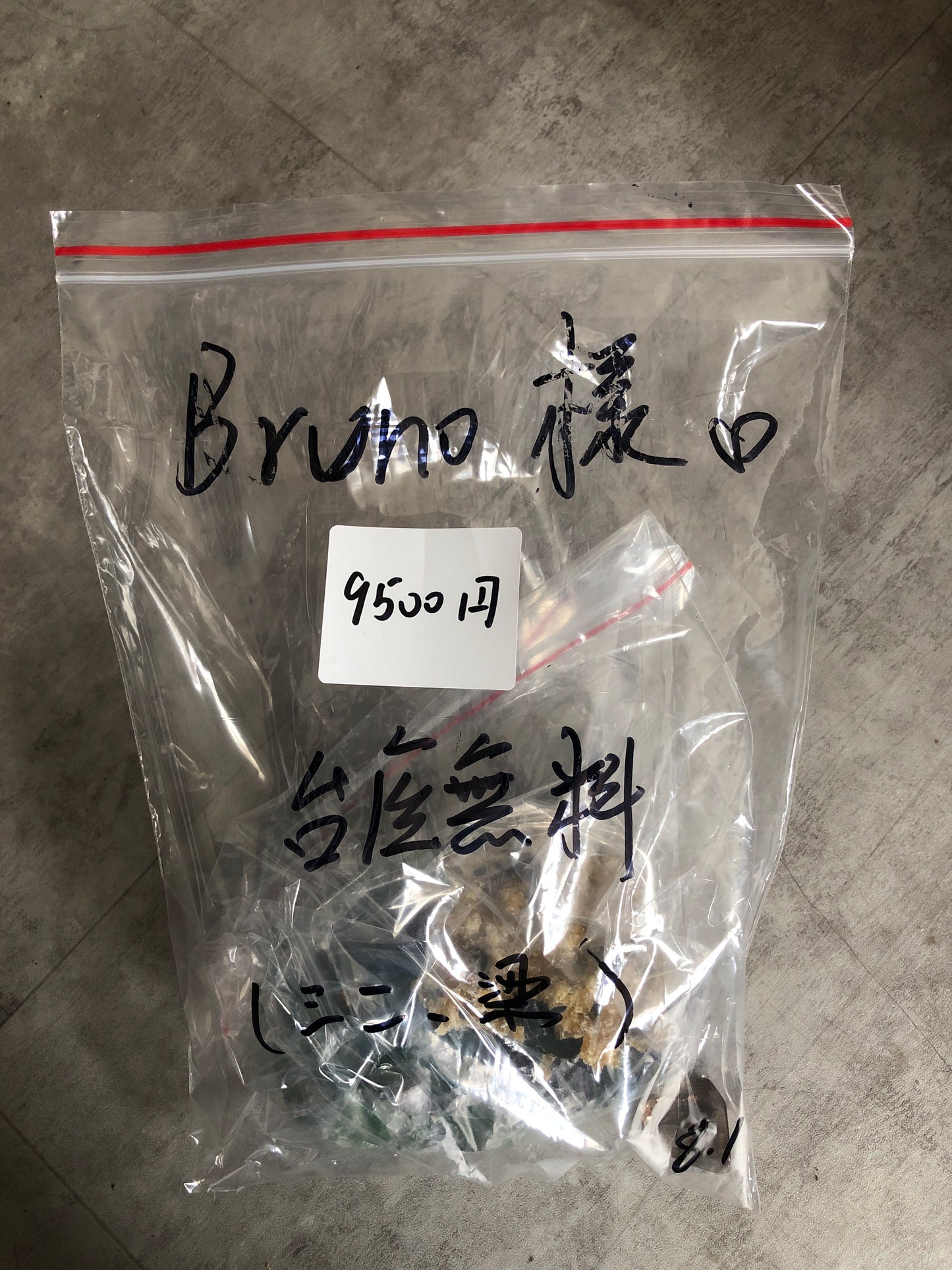 8/1ーBruno⭐️⭐️🐧様ー8