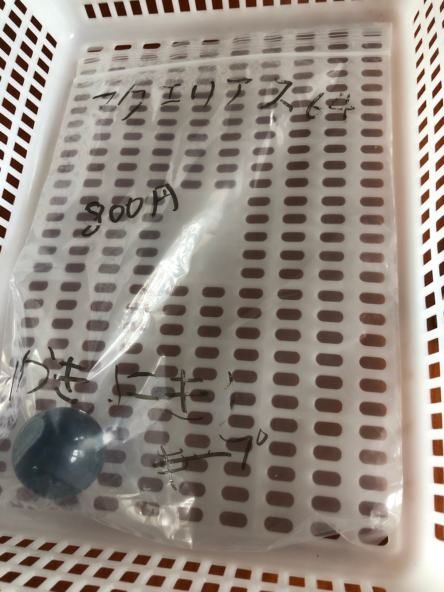 (7/3)ーマクエリアス64様ー013