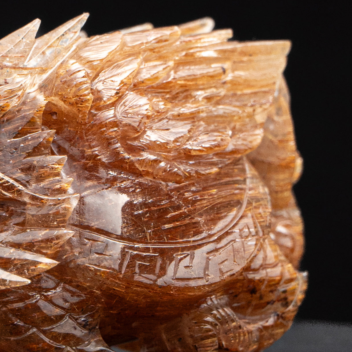 竜亀(竜の息子)