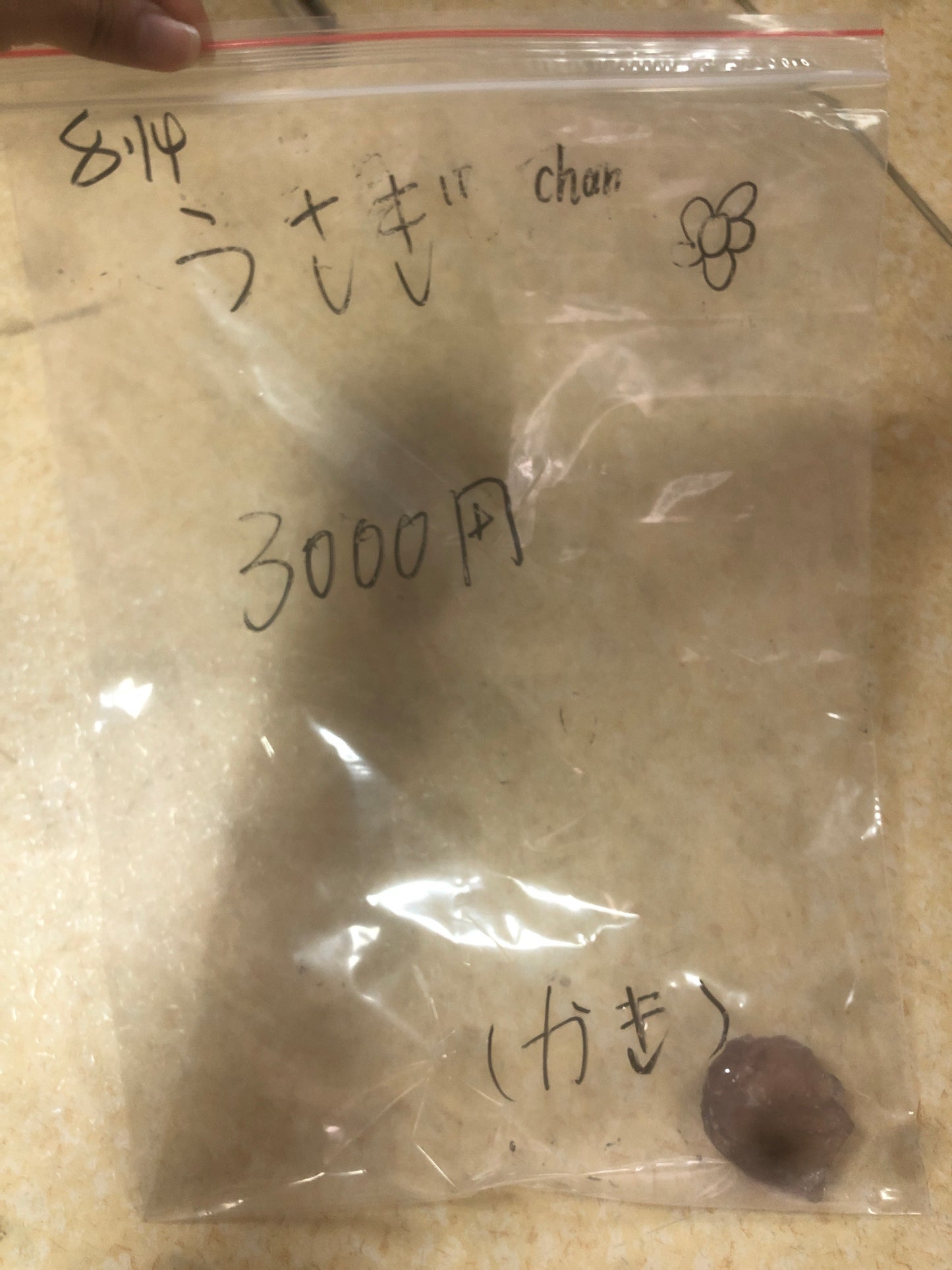 8/13ーうさぎのお姉さんー(定金5000円已付)