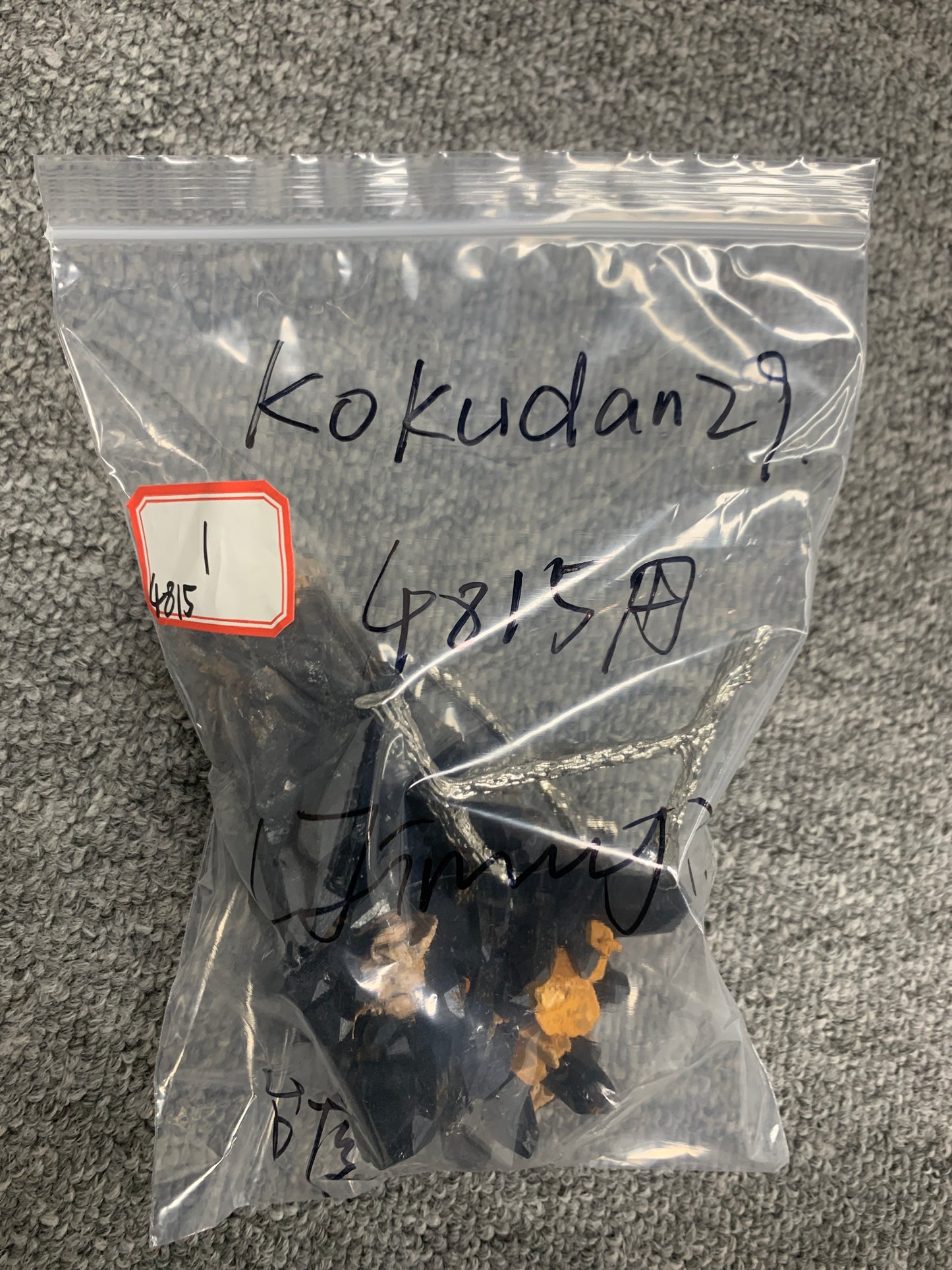 (6/4)ーkokudan29様ー(021)