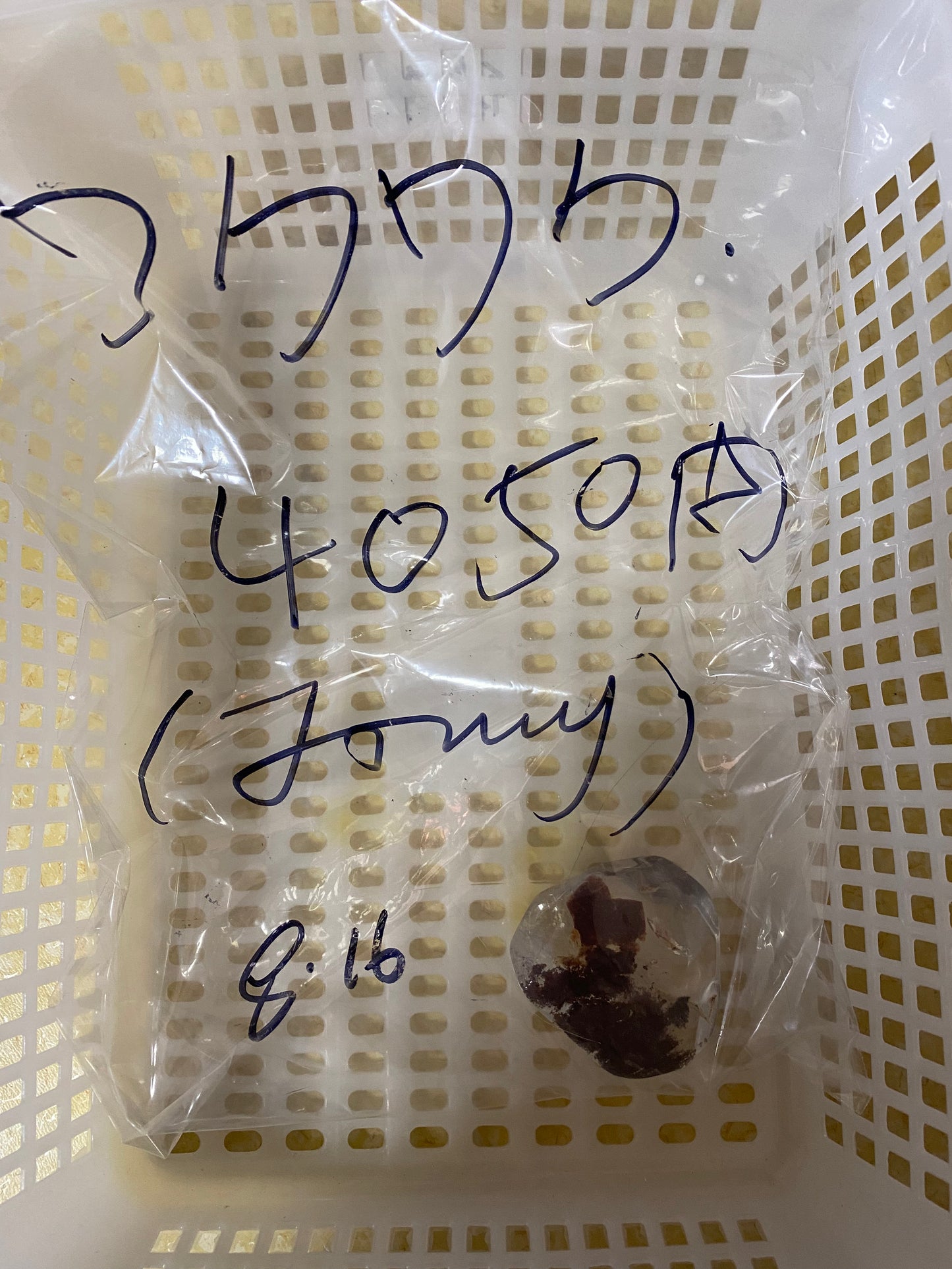 8/1ーワクワク様ー003