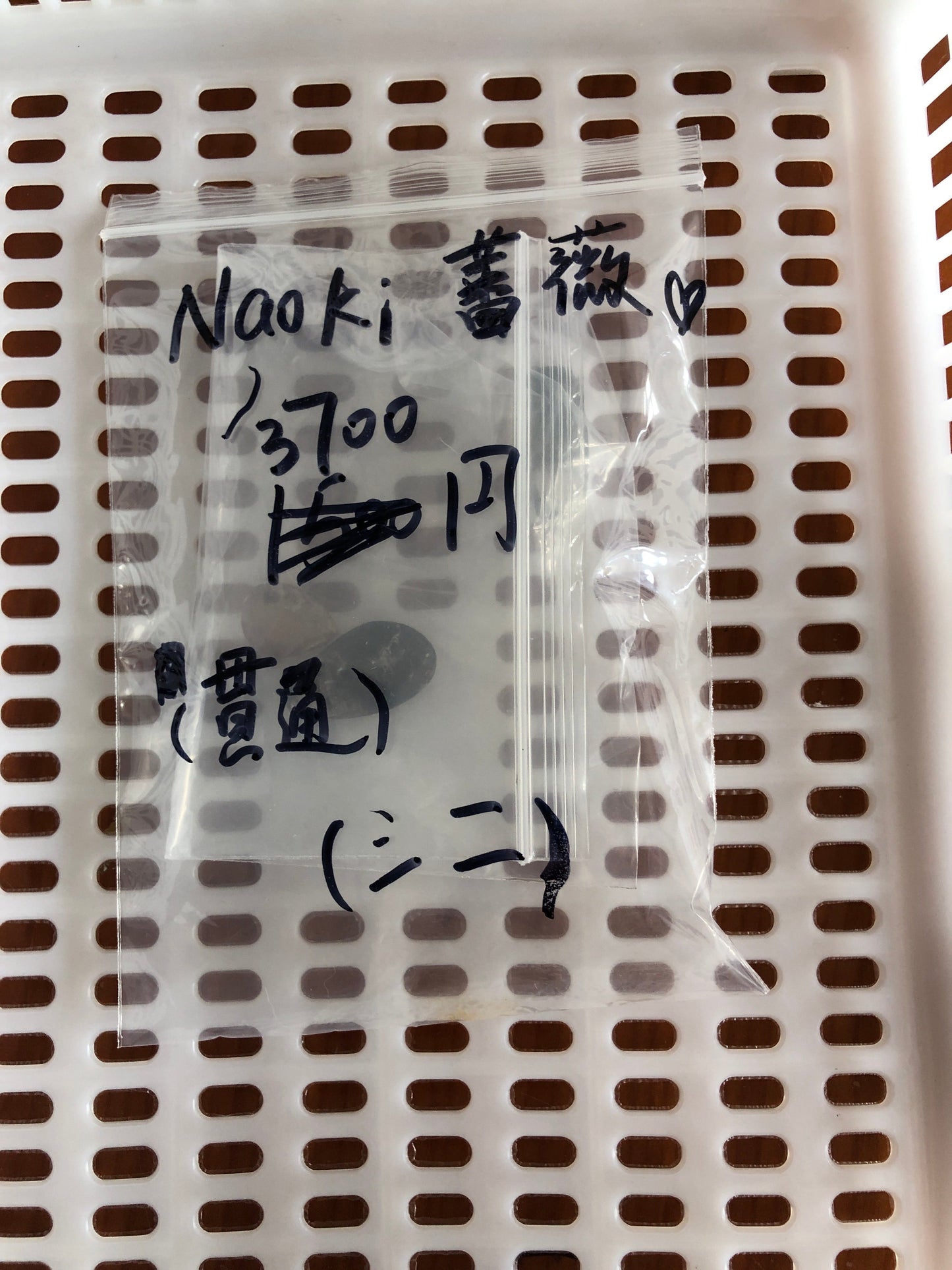 7/7、9、13—Naoki薔薇様ー(53)