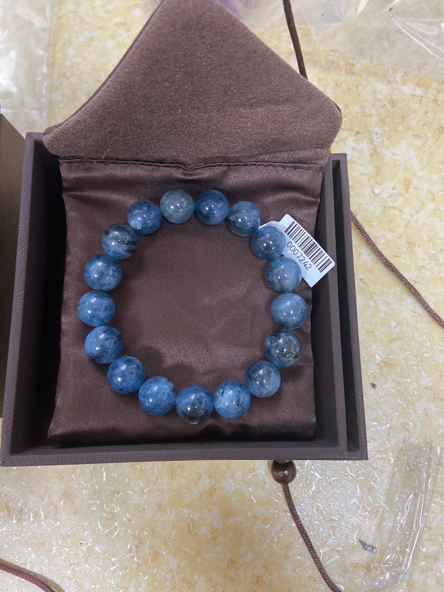 9/6-マルチーズのおもちとルル様