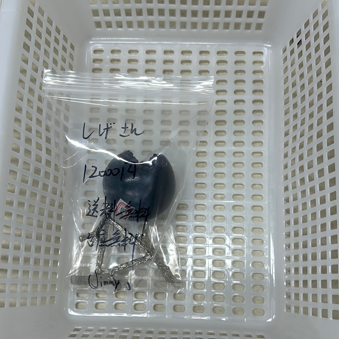 5/7ーしげさん様