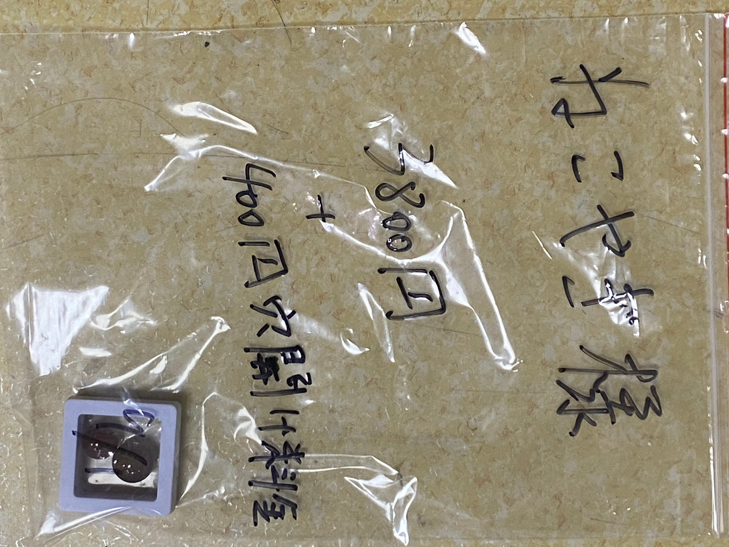 8/24ーねこやぎ様ー022