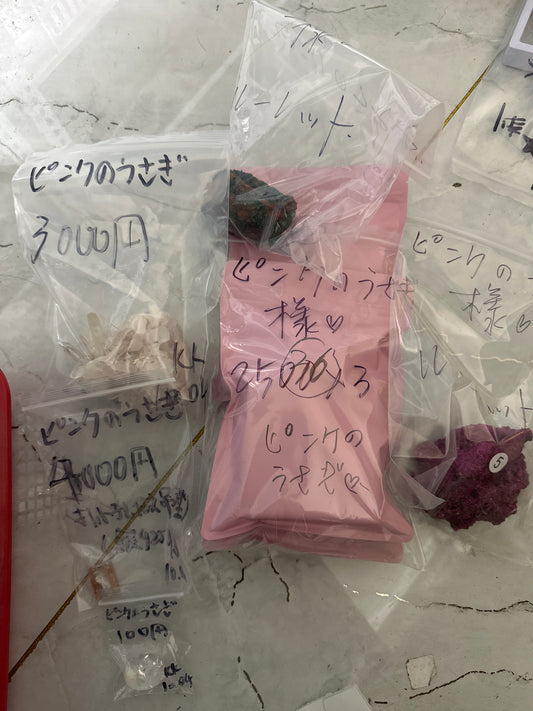 ピンクのうさぎ様