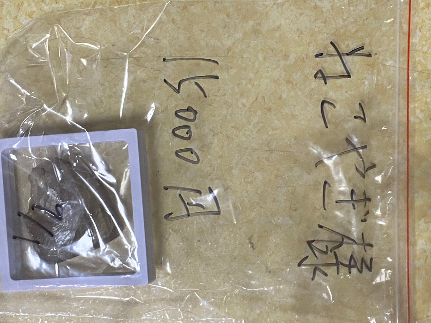 8/24ーねこやぎ様ー022