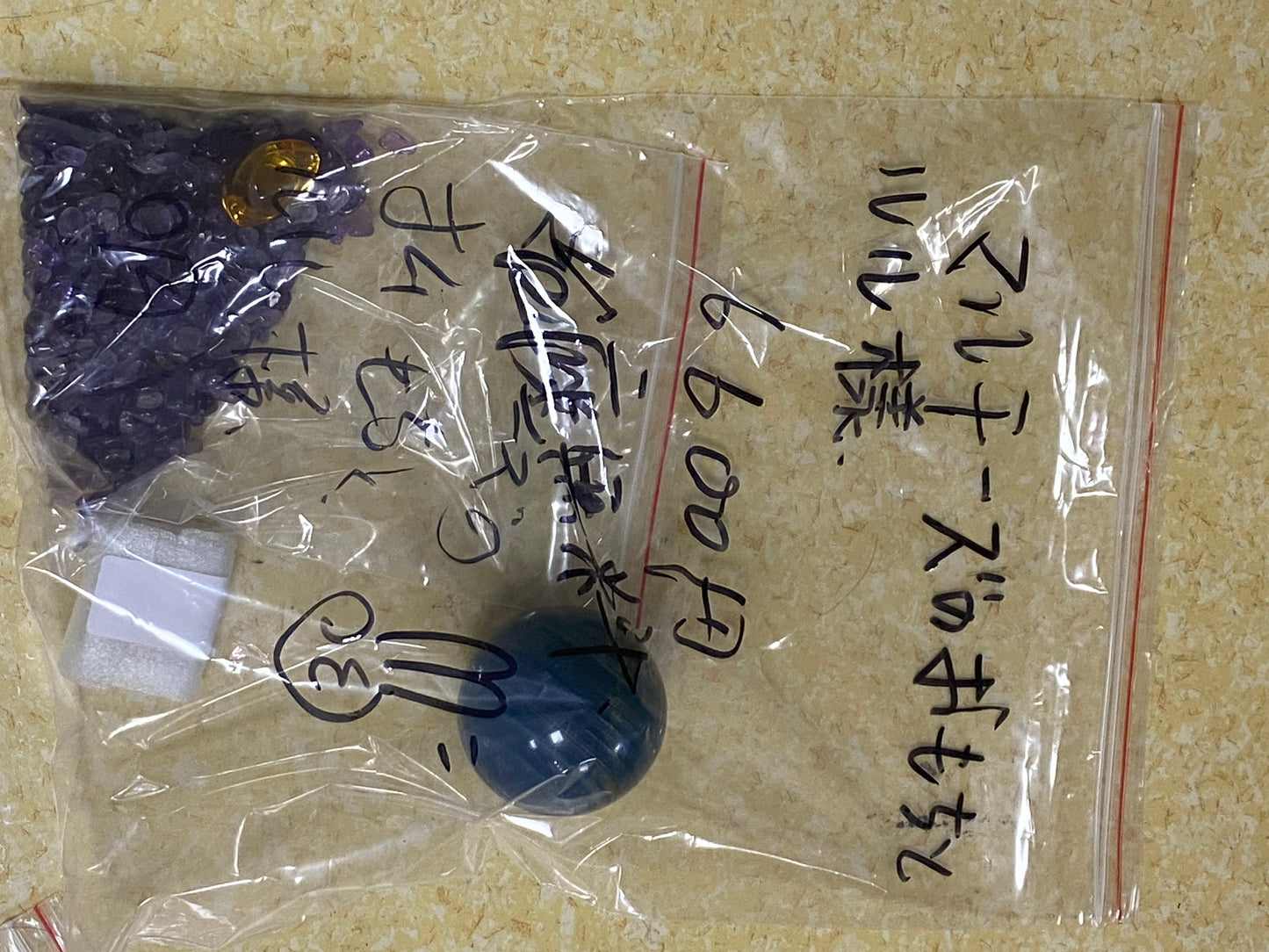 9/1ーマルチーズのおもちとルル様