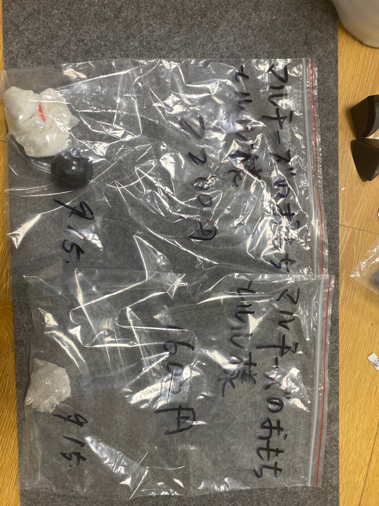 9/5ーマルチーズのおもちとルル様