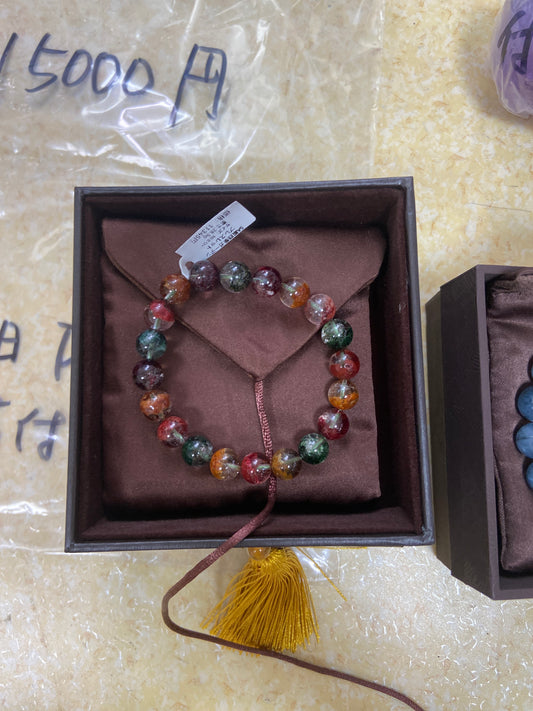 9/6-マルチーズのおもちとルル様