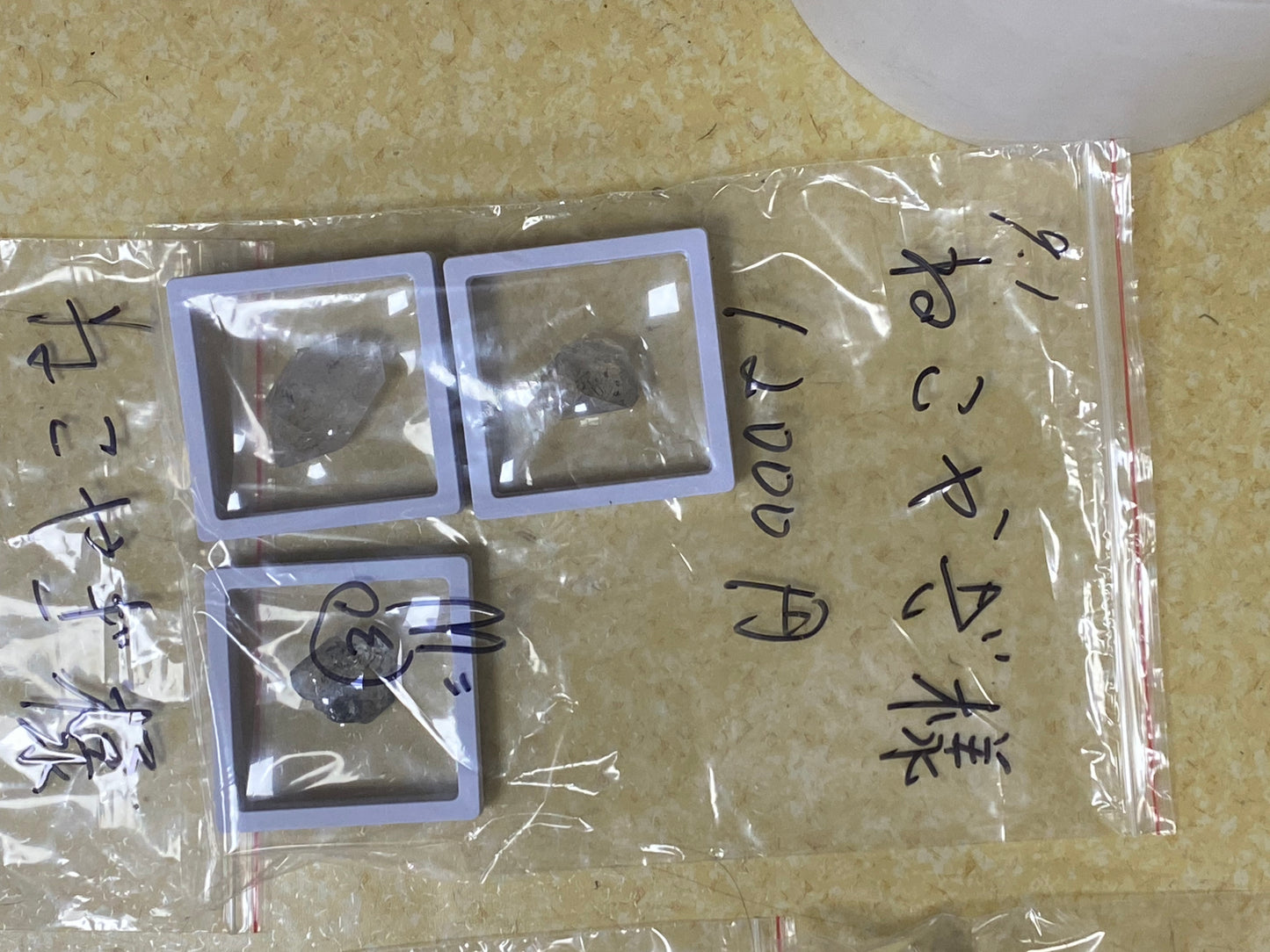 8/24ーねこやぎ様ー022