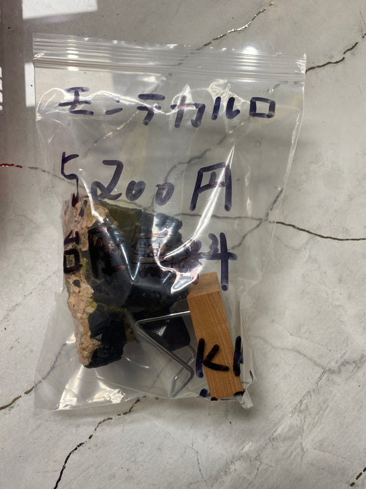 モンテカルロ様