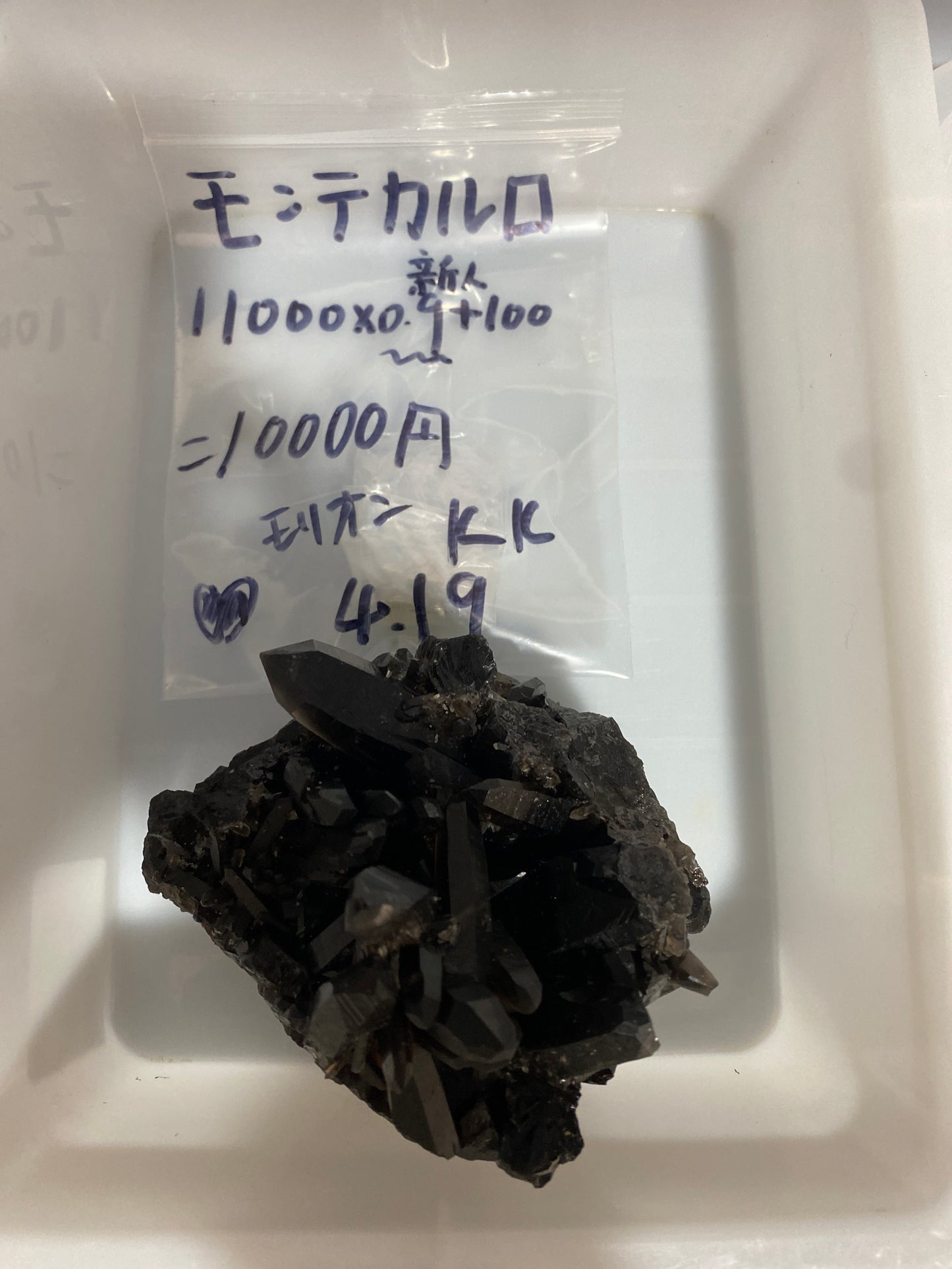 モンテカルロ様