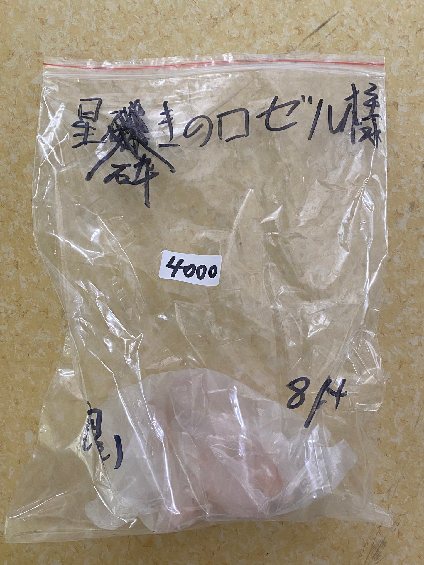 8/30ー星砕きのロゼル様ー036