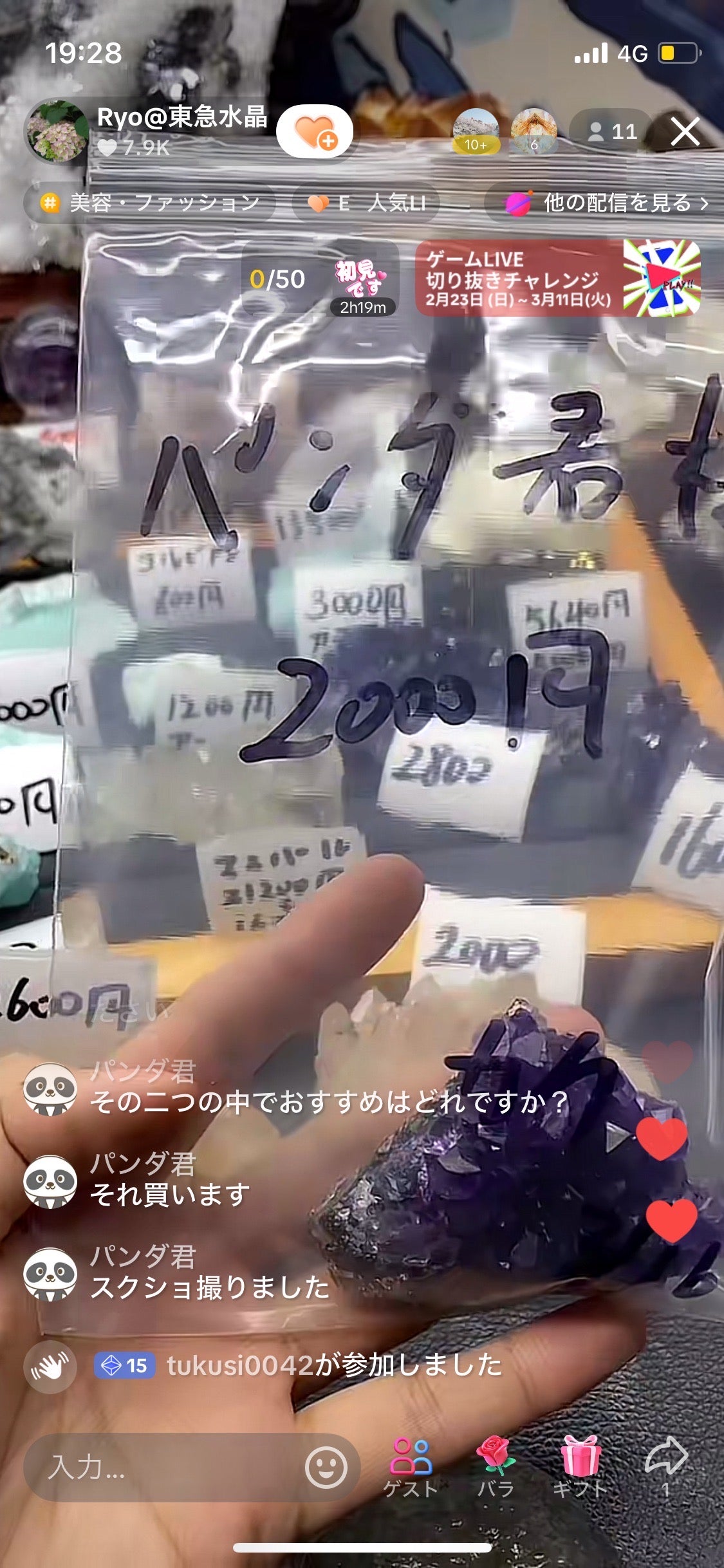 パンダ君様-税込