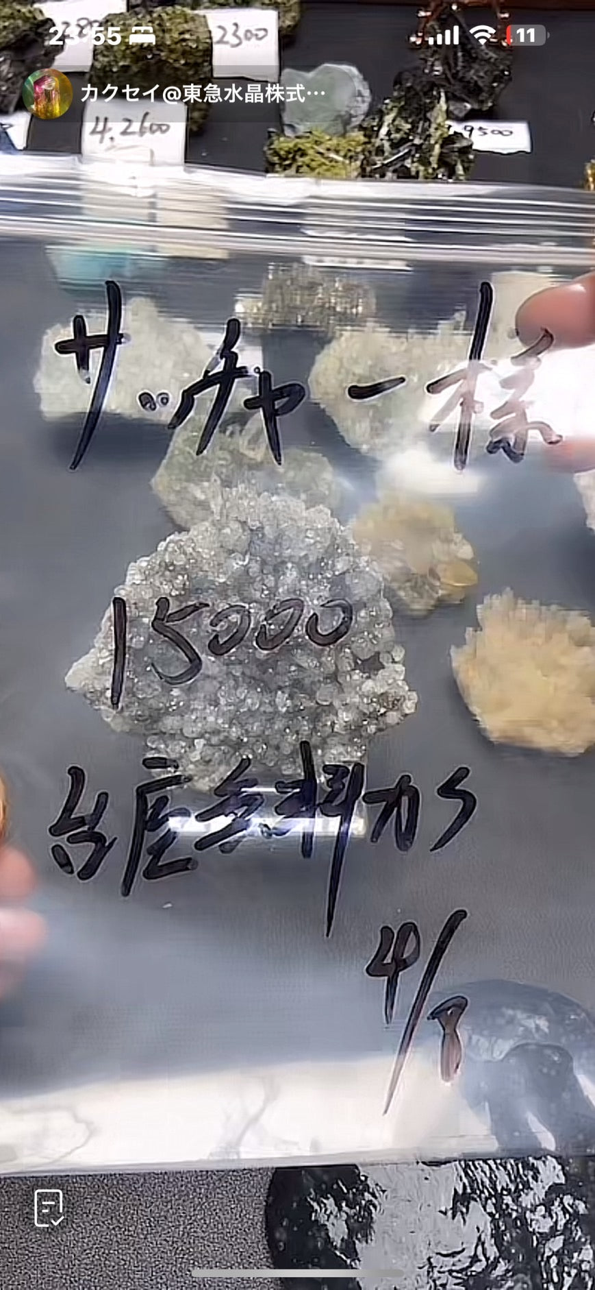 サッチャー様〜税込