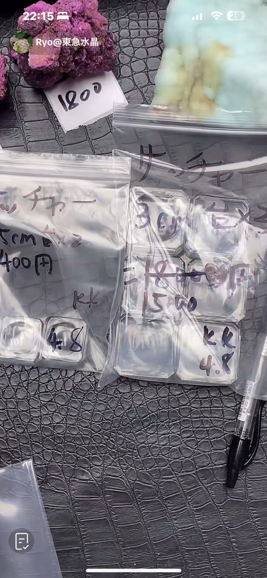 サッチャー様〜税込