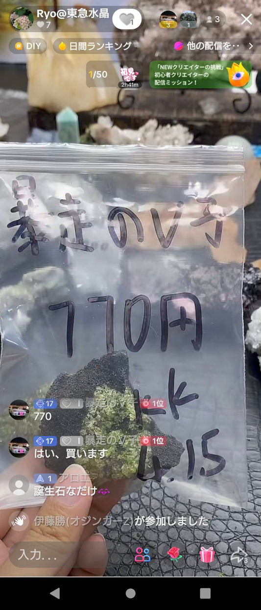 暴走のV子様〜税込